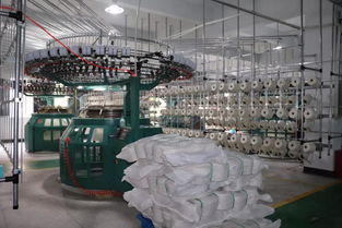 麗富藝集團各生產廠工作動態